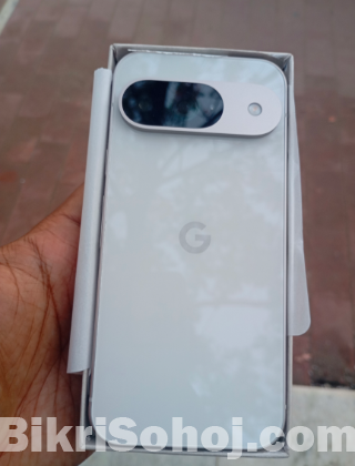 Google pixel 9